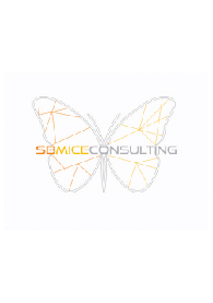 SB Mice Consulting affiliation logo